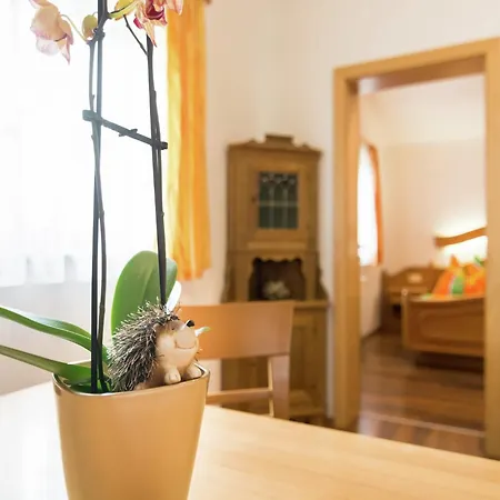 Sunny Alpine By The Slopes * Kaprun