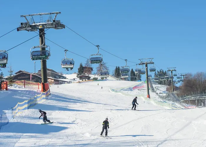 Sunny Alpine By The Slopes *